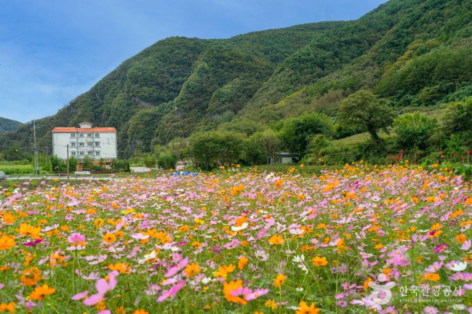봉래산(영월) 여행 추천 - 메고지고 봉래산(영월) 여행 추천 - 메고지고