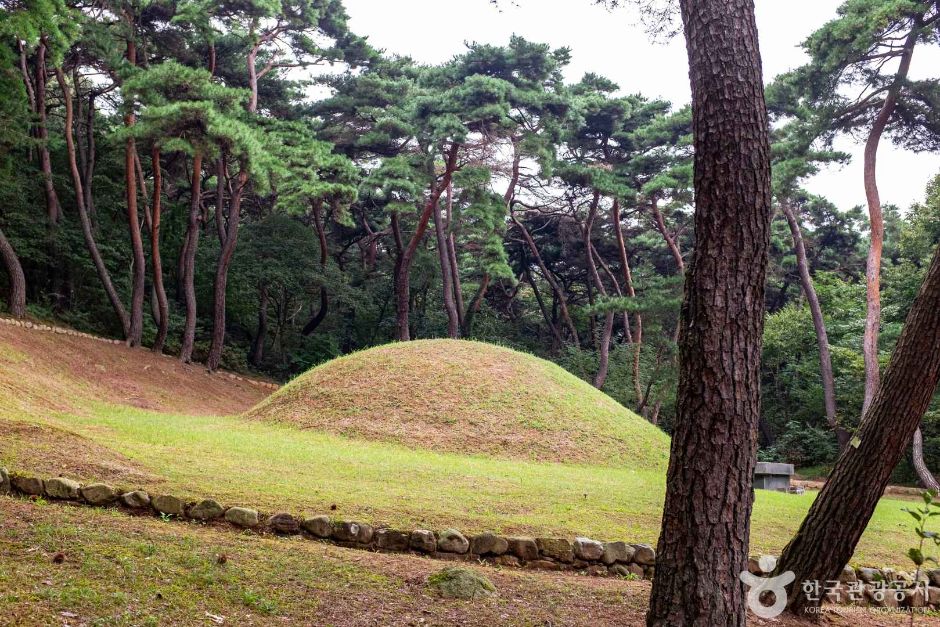 경주 법흥왕릉 여행 추천 - 메고지고 경주 법흥왕릉 여행 추천 - 메고지고