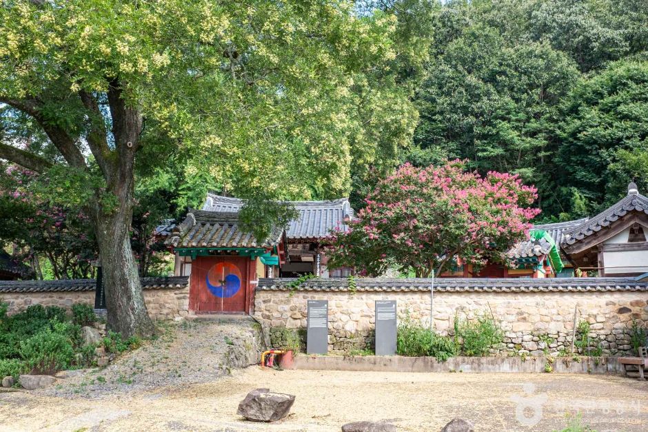 섬계서원 여행 추천 - 메고지고 섬계서원 여행 추천 - 메고지고