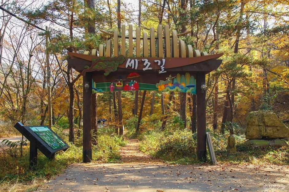 세조길 여행 추천 - 메고지고 세조길 여행 추천 - 메고지고