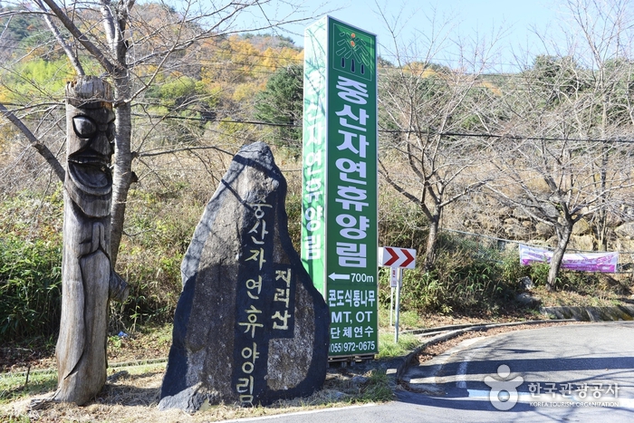 중산리자연휴양림 여행 추천 - 메고지고 중산리자연휴양림 여행 추천 - 메고지고