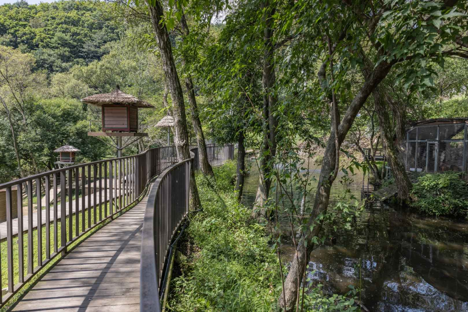 알파카월드 여행 추천 - 메고지고 알파카월드 여행 추천 - 메고지고