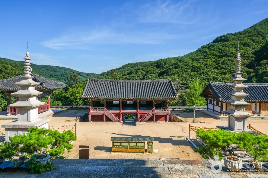 용문사(예천) 여행 추천 - 메고지고
