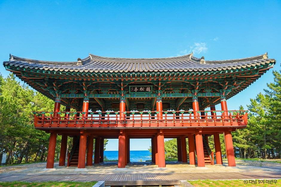 월송정 여행 추천 - 메고지고 월송정 여행 추천 - 메고지고