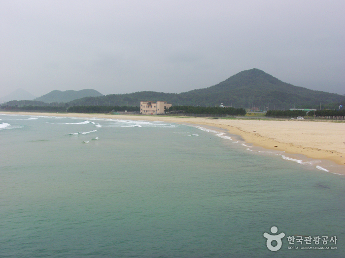 공현진1리해변 여행 추천 - 메고지고 공현진1리해변 여행 추천 - 메고지고