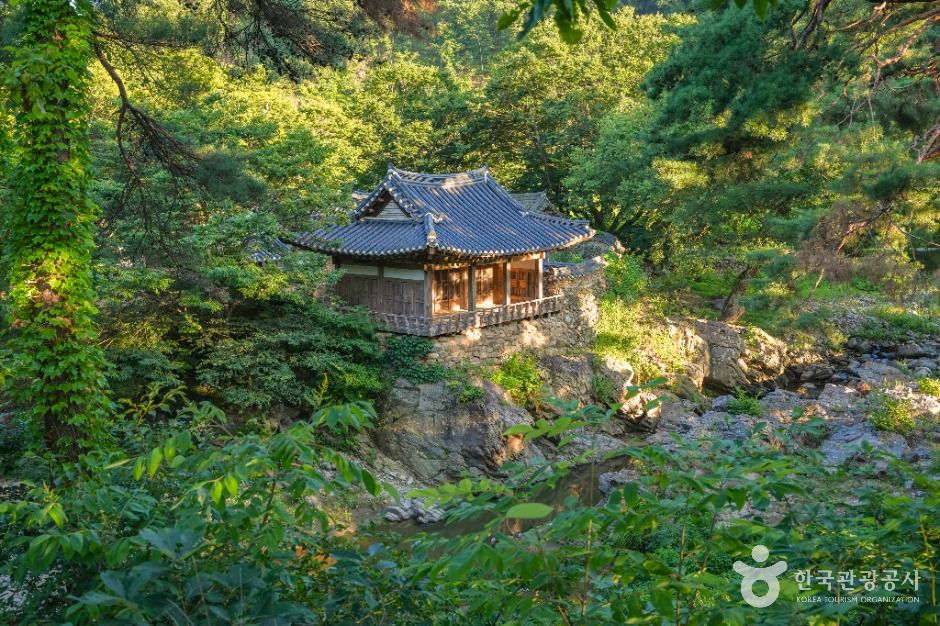 초간정 여행 추천 - 메고지고