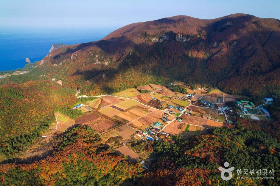 나리분지 여행 추천 - 메고지고 나리분지 여행 추천 - 메고지고