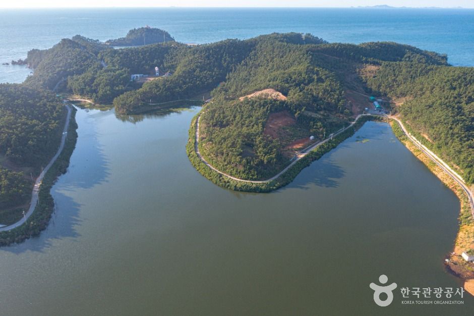 모항저수지 여행 추천 - 메고지고 모항저수지 여행 추천 - 메고지고