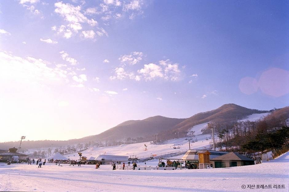 지산 포레스트 리조트 스키장 여행 추천 - 메고지고 지산 포레스트 리조트 스키장 여행 추천 - 메고지고