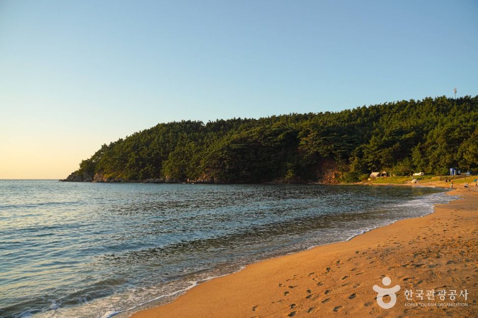 백리포해수욕장 여행 추천 - 메고지고 백리포해수욕장 여행 추천 - 메고지고