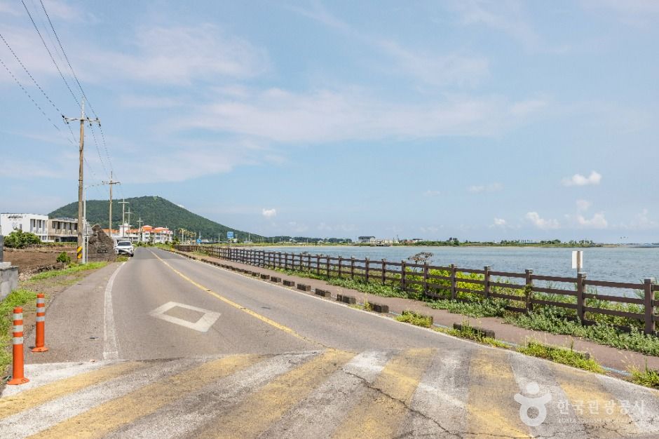 [제주올레 1코스] 시흥-광치기 올레 여행 추천 - 메고지고