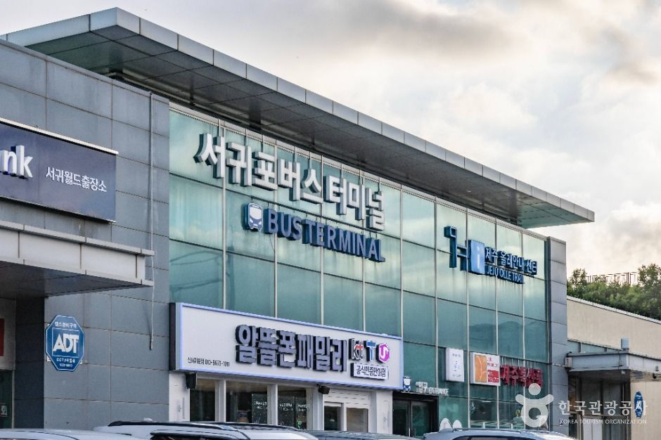 [제주올레 7-1코스] 서귀포 버스터미널 - 제주올레 여행자센터 올레 여행 추천 - 메고지고