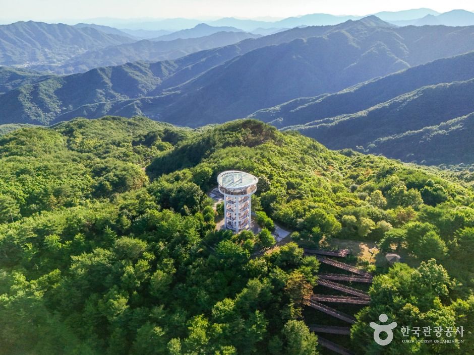 소백산하늘자락공원 여행 추천 - 메고지고 소백산하늘자락공원 여행 추천 - 메고지고