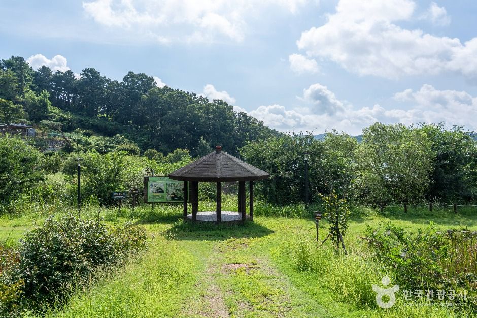 삼정생태공원 여행 추천 - 메고지고 삼정생태공원 여행 추천 - 메고지고
