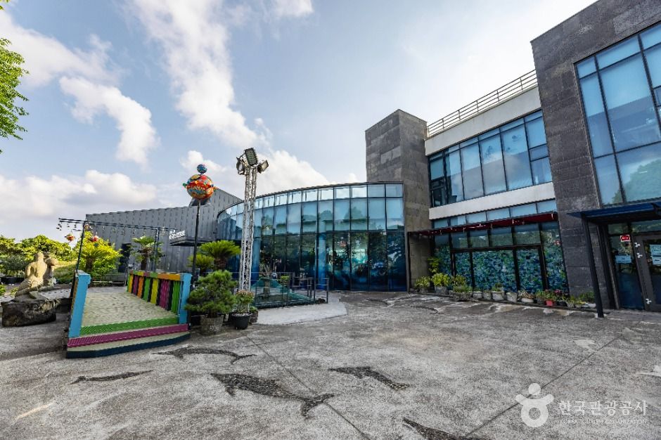 제주해양동물박물관 여행 추천 - 메고지고 제주해양동물박물관 여행 추천 - 메고지고