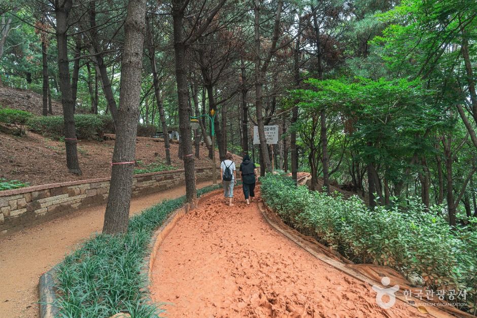 수진공원 여행 추천 - 메고지고 수진공원 여행 추천 - 메고지고