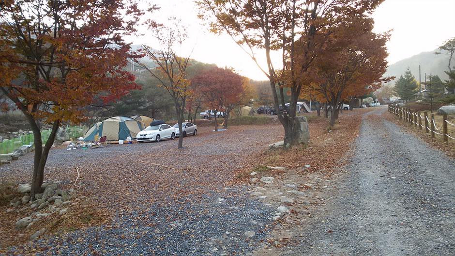 주막거리캠프 여행 추천 - 메고지고 주막거리캠프 여행 추천 - 메고지고