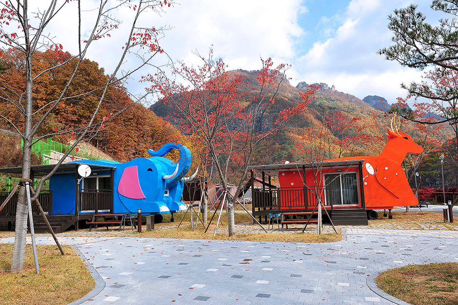 청량산캠핑장 여행 추천 - 메고지고 청량산캠핑장 여행 추천 - 메고지고