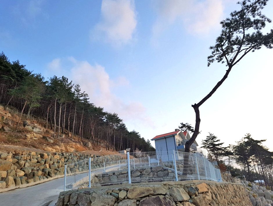 산들바다관광농원 여행 추천 - 메고지고 산들바다관광농원 여행 추천 - 메고지고