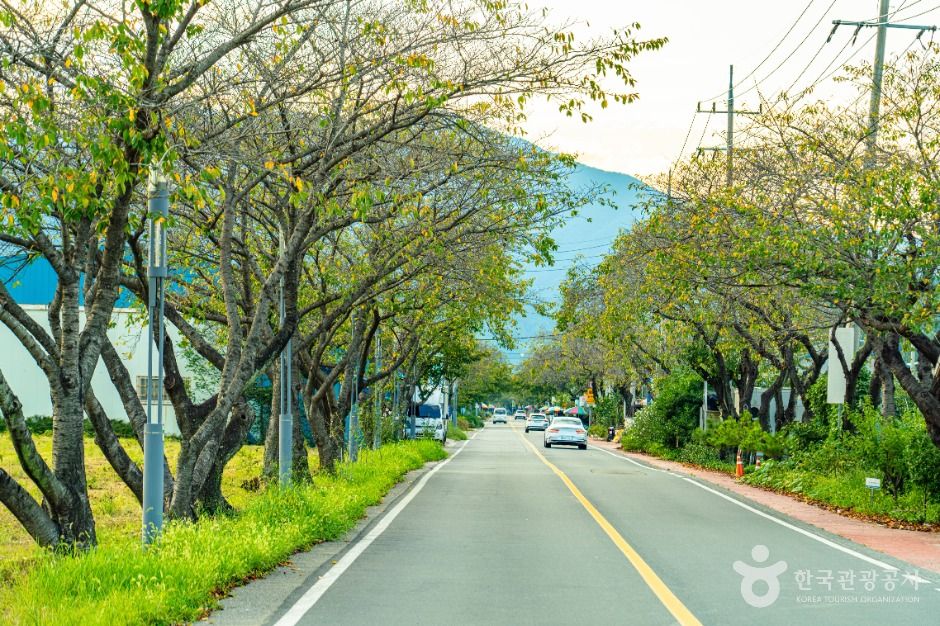 하동명품배거리 여행 추천 - 메고지고 하동명품배거리 여행 추천 - 메고지고