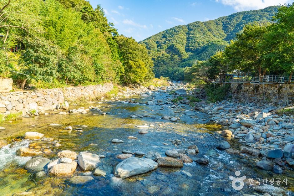 백암동천 여행 추천 - 메고지고 백암동천 여행 추천 - 메고지고