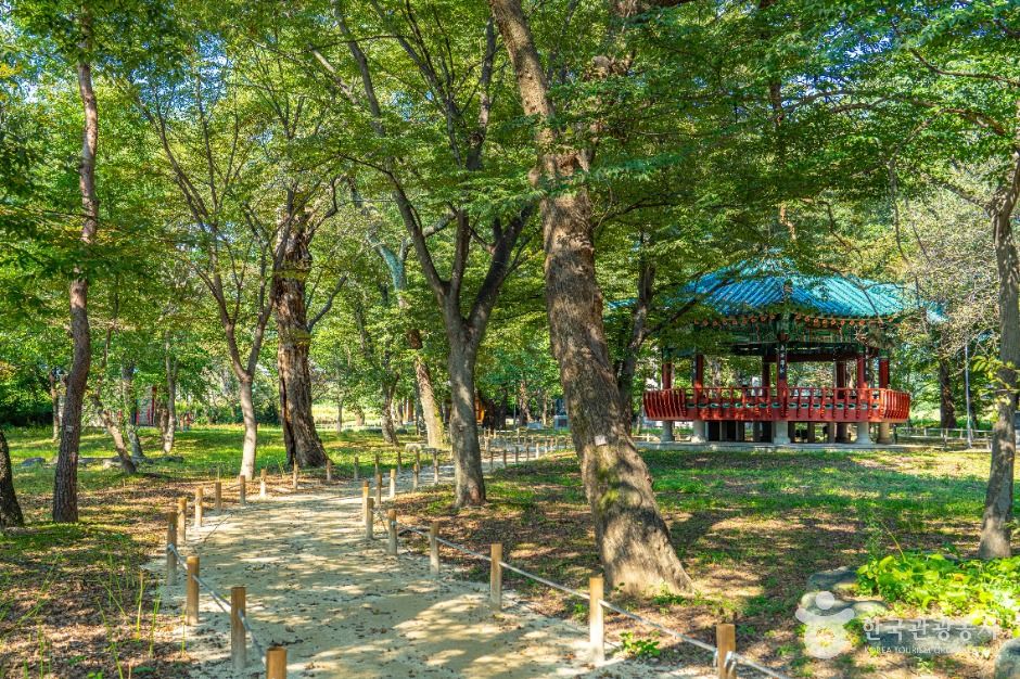 악양 취간림 여행 추천 - 메고지고 악양 취간림 여행 추천 - 메고지고