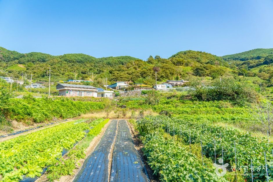 동촌마을 여행 추천 - 메고지고 동촌마을 여행 추천 - 메고지고