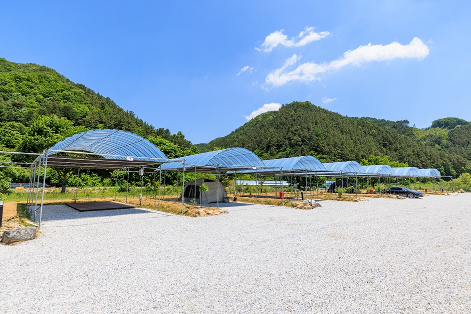 진악산오토캠핑장 여행 추천 - 메고지고 진악산오토캠핑장 여행 추천 - 메고지고