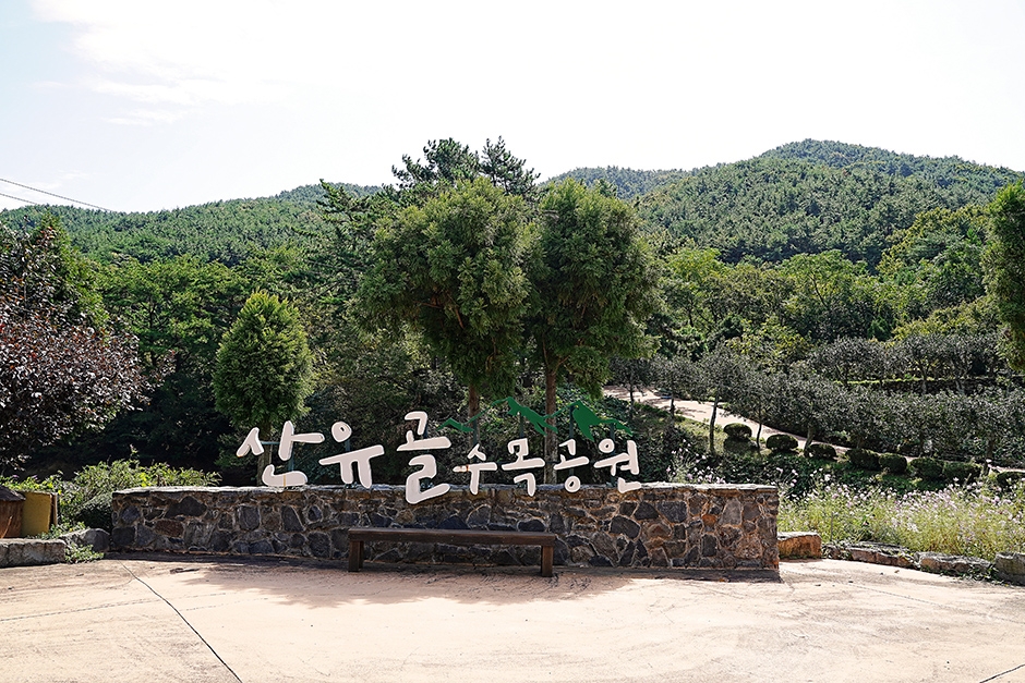 산유골수목공원 여행 추천 - 메고지고 산유골수목공원 여행 추천 - 메고지고