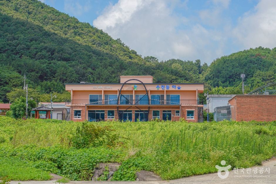 송천참다래마을 여행 추천 - 메고지고