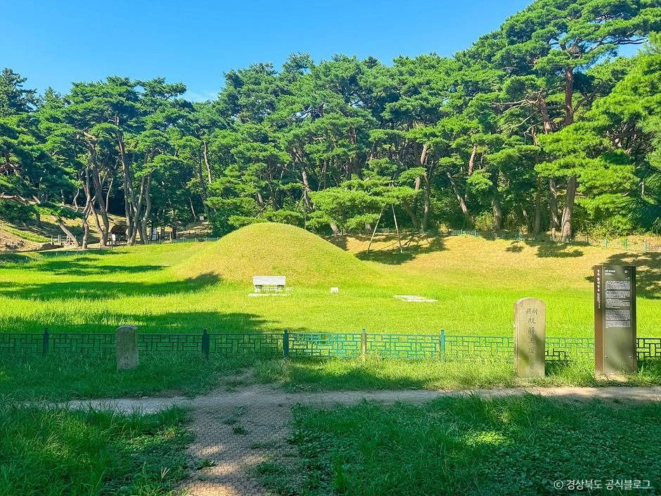 경주 탈해왕릉 여행 추천 - 메고지고 경주 탈해왕릉 여행 추천 - 메고지고