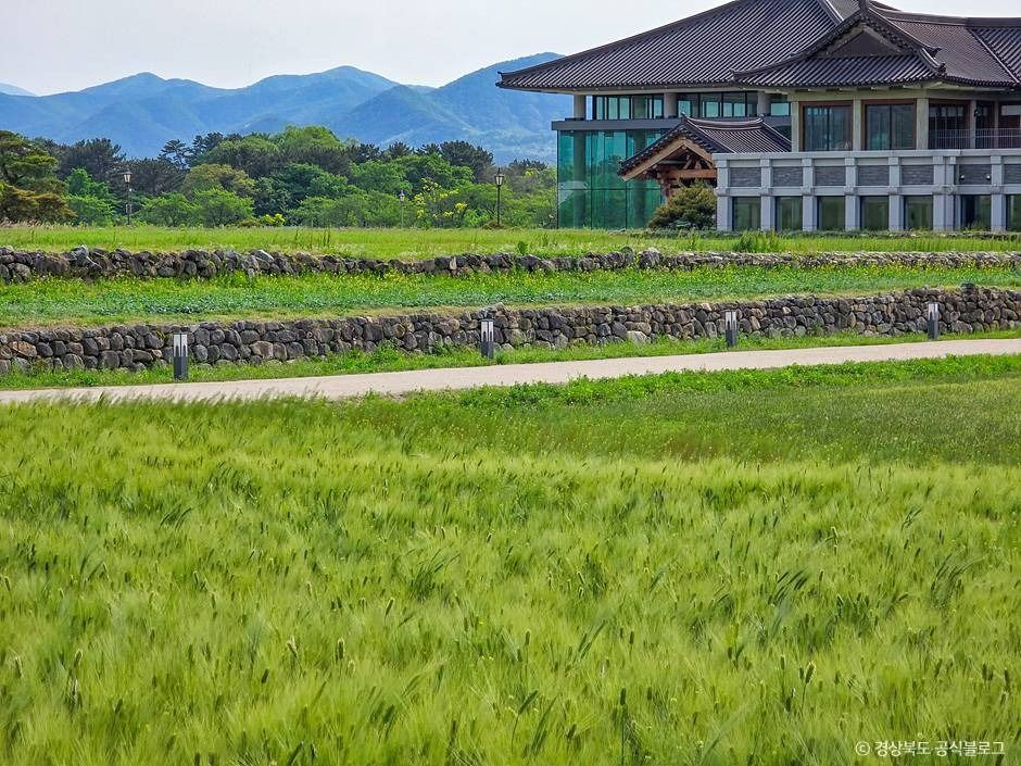 경주 황룡사지 여행 추천 - 메고지고 경주 황룡사지 여행 추천 - 메고지고