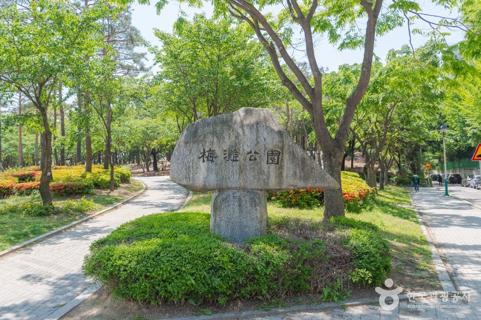 매탄공원 여행 추천 - 메고지고