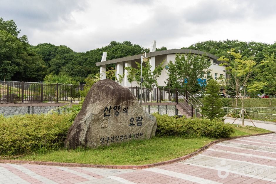 양구 산양·사향노루센터 여행 추천 - 메고지고