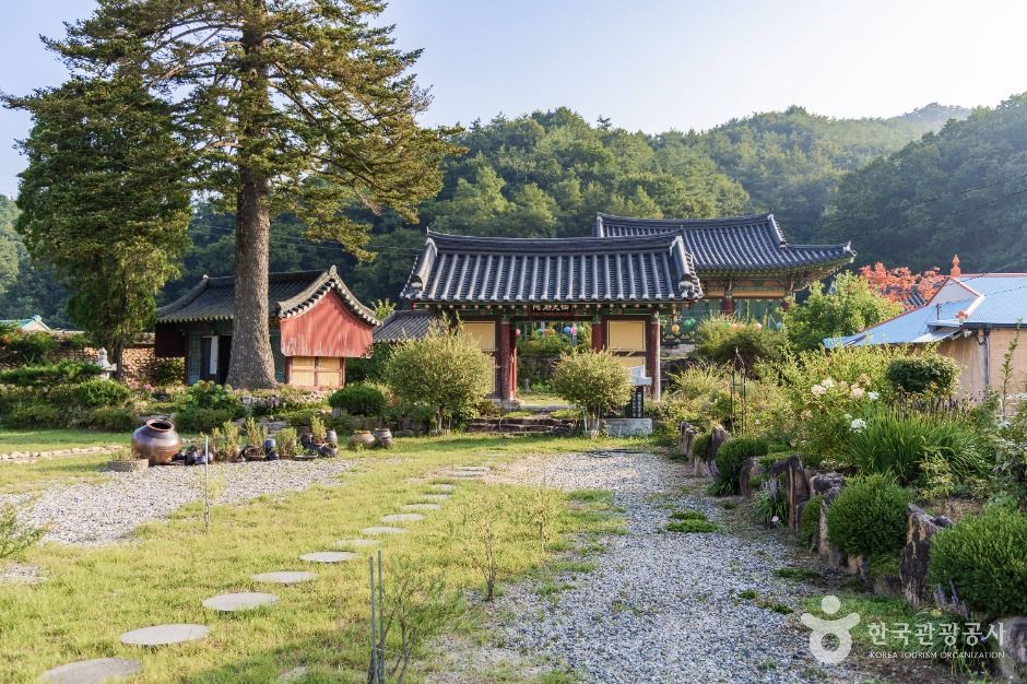 신흥사(상주) 여행 추천 - 메고지고 신흥사(상주) 여행 추천 - 메고지고