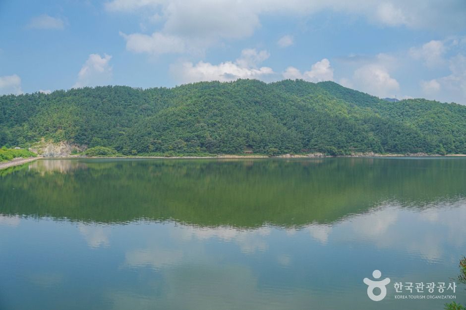 금평저수지 여행 추천 - 메고지고 금평저수지 여행 추천 - 메고지고