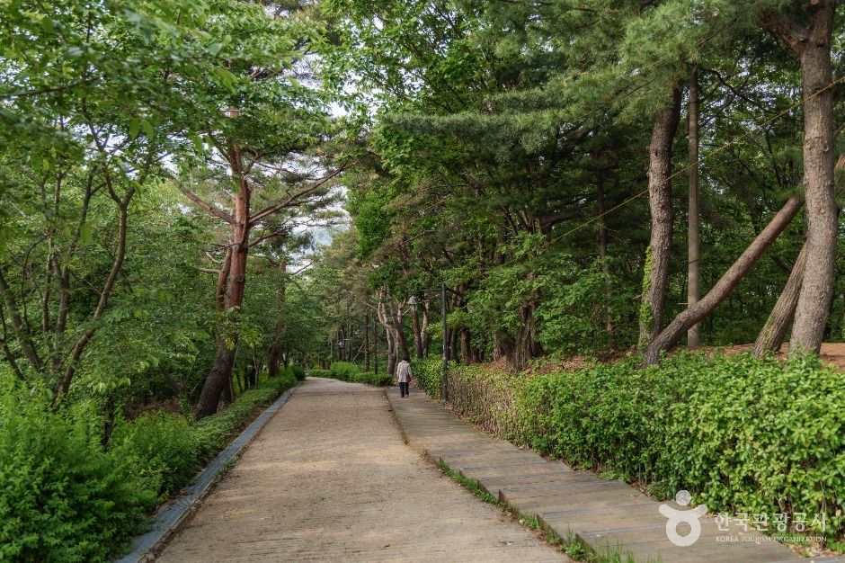 서리풀공원 여행 추천 - 메고지고 서리풀공원 여행 추천 - 메고지고
