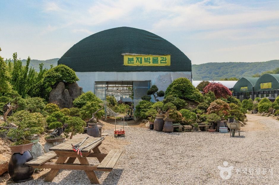 분재박물관 여행 추천 - 메고지고 분재박물관 여행 추천 - 메고지고