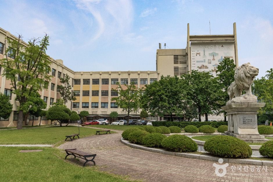 경희대학교 자연사박물관 여행 추천 - 메고지고 경희대학교 자연사박물관 여행 추천 - 메고지고