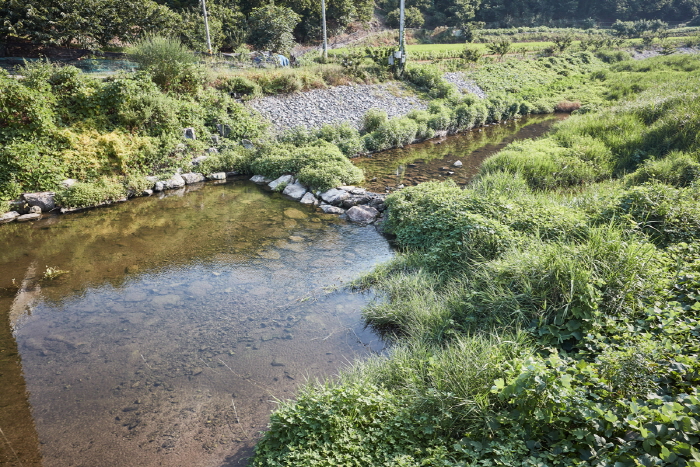 거전마을 여행 추천 - 메고지고 거전마을 여행 추천 - 메고지고