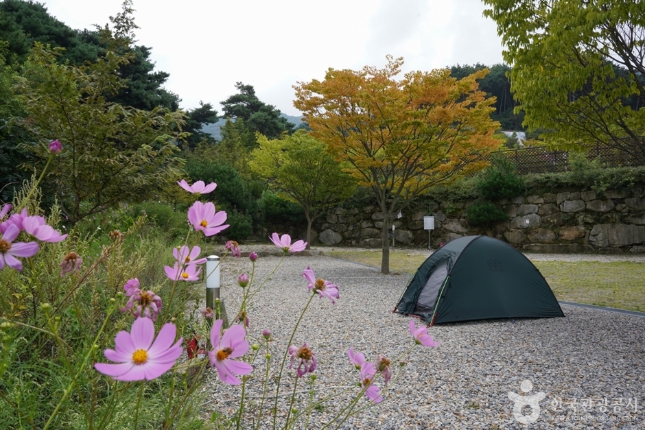 한티별빛아래오토캠핑장 여행 추천 - 메고지고