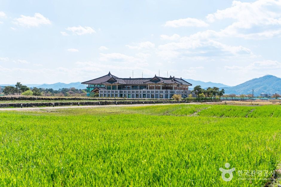 분황사 청보리밭 여행 추천 - 메고지고 분황사 청보리밭 여행 추천 - 메고지고