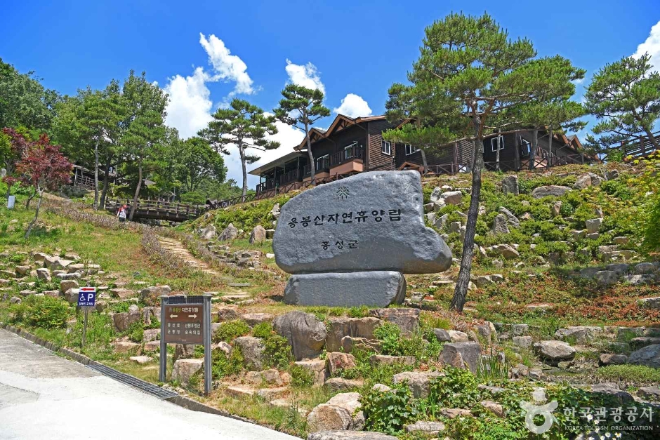 용봉산자연휴양림 여행 추천 - 메고지고 용봉산자연휴양림 여행 추천 - 메고지고