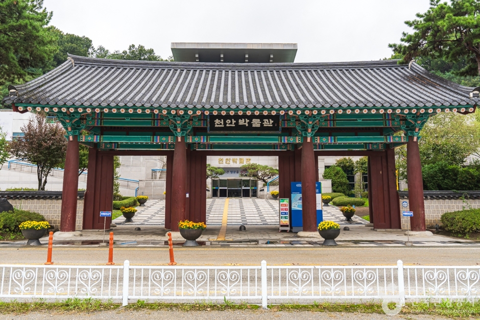 천안박물관 여행 추천 - 메고지고 천안박물관 여행 추천 - 메고지고