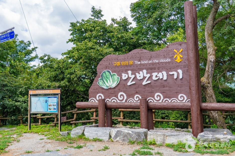 안반데기 여행 추천 - 메고지고 안반데기 여행 추천 - 메고지고