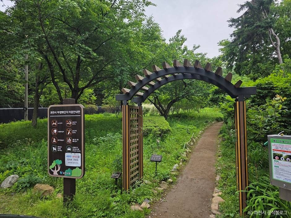 과천야생화자연학습장 여행 추천 - 메고지고 과천야생화자연학습장 여행 추천 - 메고지고
