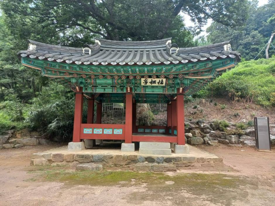 고송정지 여행 추천 - 메고지고