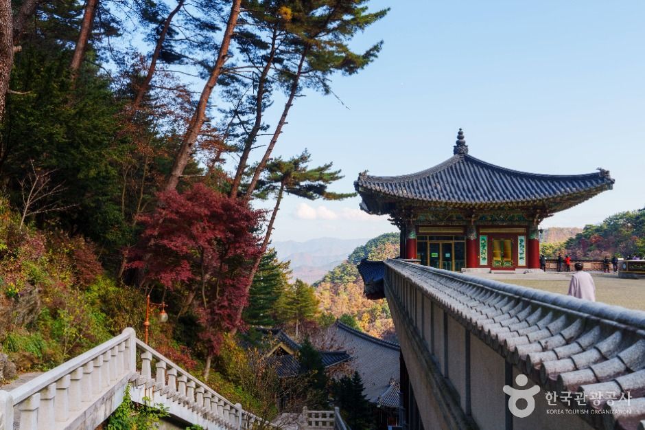 구인사(단양) 여행 추천 - 메고지고 구인사(단양) 여행 추천 - 메고지고