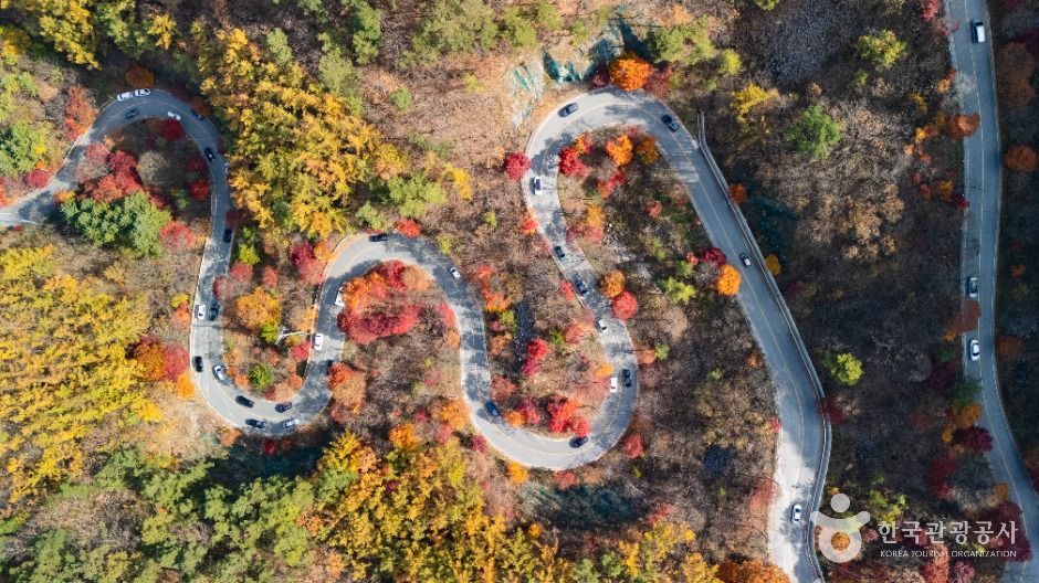 단양 보발재 여행 추천 - 메고지고 단양 보발재 여행 추천 - 메고지고
