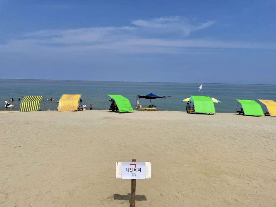 지경리해변 여행 추천 - 메고지고 지경리해변 여행 추천 - 메고지고